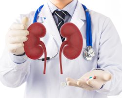 digital-composite-image-doctor-with-medicines-kidneys-against-white-background
